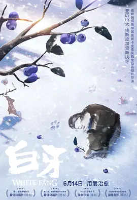 暴躁少女免费看高清电视剧