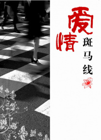 狠狠激情五月综合婷婷俺